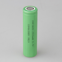 2500mAh 1C 18650 Ternary Lithium Ion Battery Cell