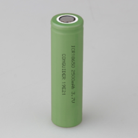 2500mAh 3C 18650 Ternary Lithium Ion Battery Cell