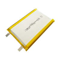 606090 4000mAh 3.7V Lithium Polymer Battery (Can be customized)