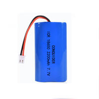 Custom High Quality Portable Power 7.4V Juicer Battery Pack  Rechargeable Lithium ion Battery